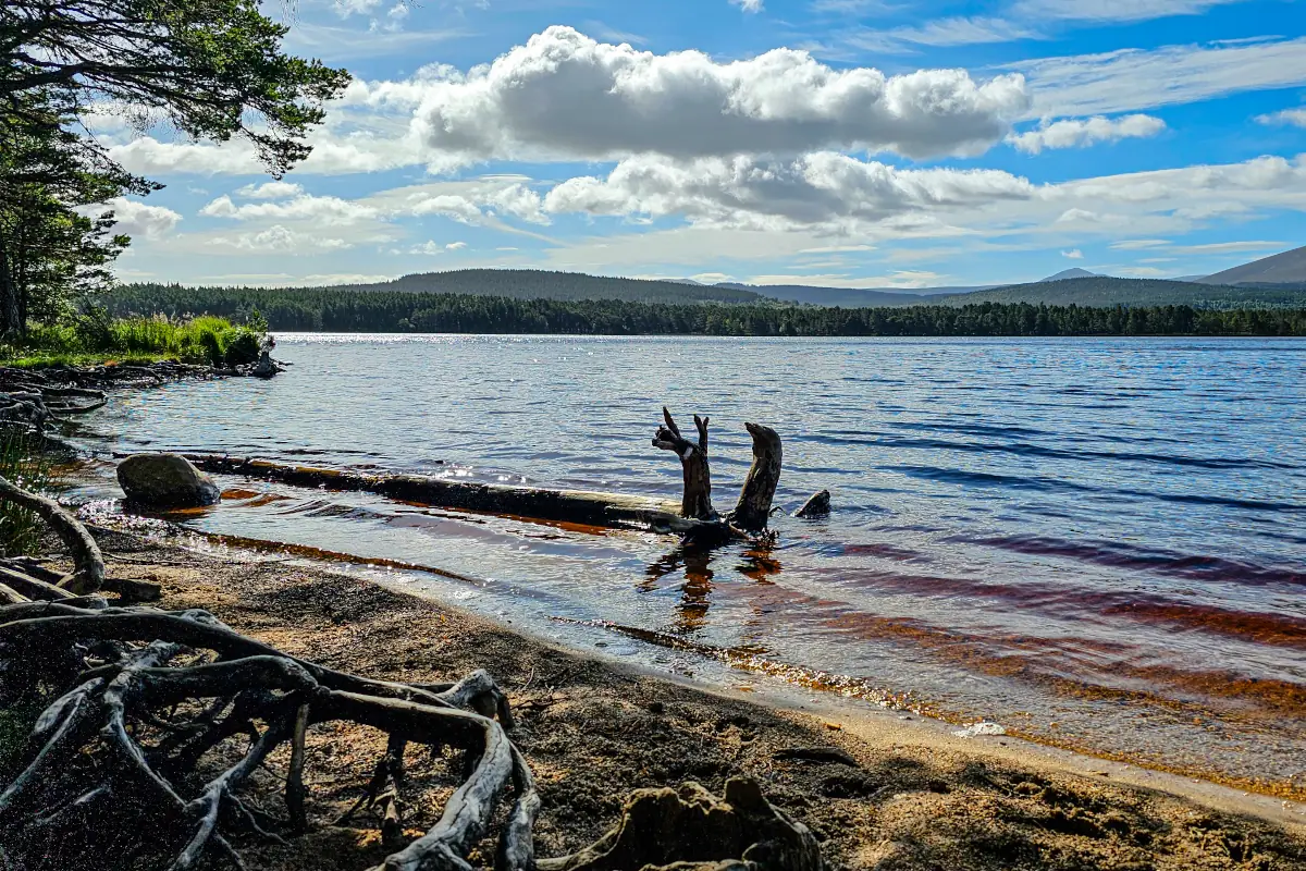Les Cairngorms, faune et rennes — Autotour Écosse en famille · 10 jours